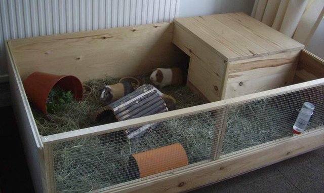 Large Cage